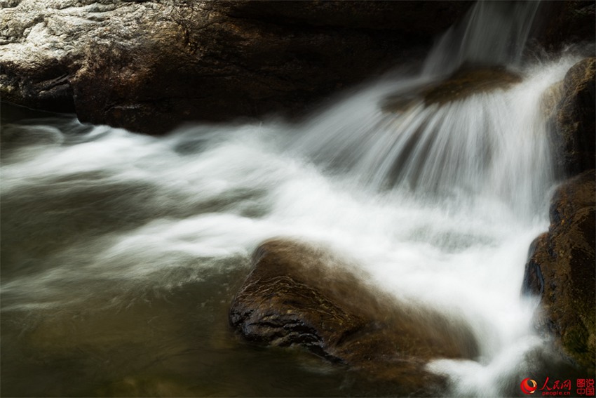 ?? ??? ‘???’, ??? ???? ???? ??