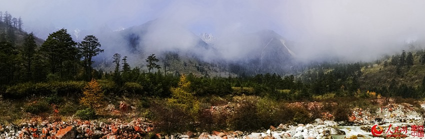 ?? ??? ‘???’, ??? ???? ???? ??