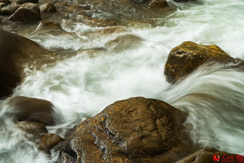 ?? ??? ‘???’, ??? ???? ???? ??