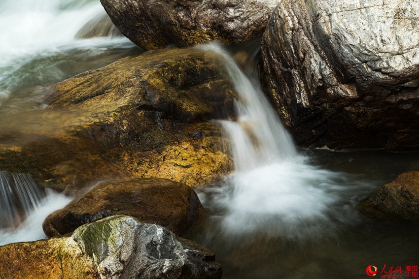 ?? ??? ‘???’, ??? ???? ???? ??