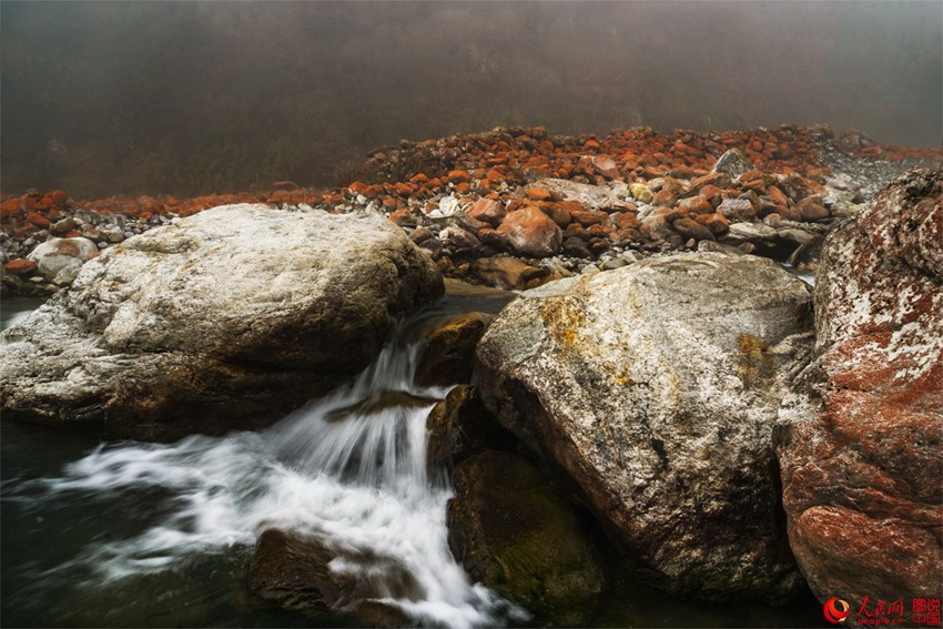 ?? ??? ‘???’, ??? ???? ???? ??