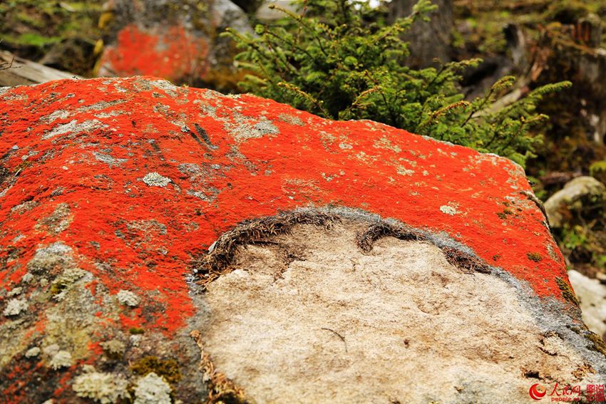 ?? ??? ‘???’, ??? ???? ???? ??