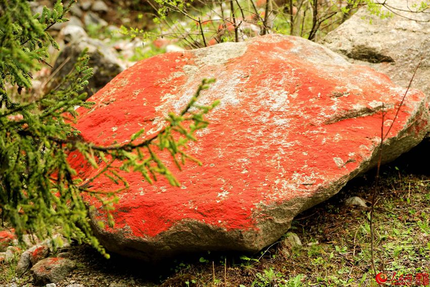 ?? ??? ‘???’, ??? ???? ???? ??