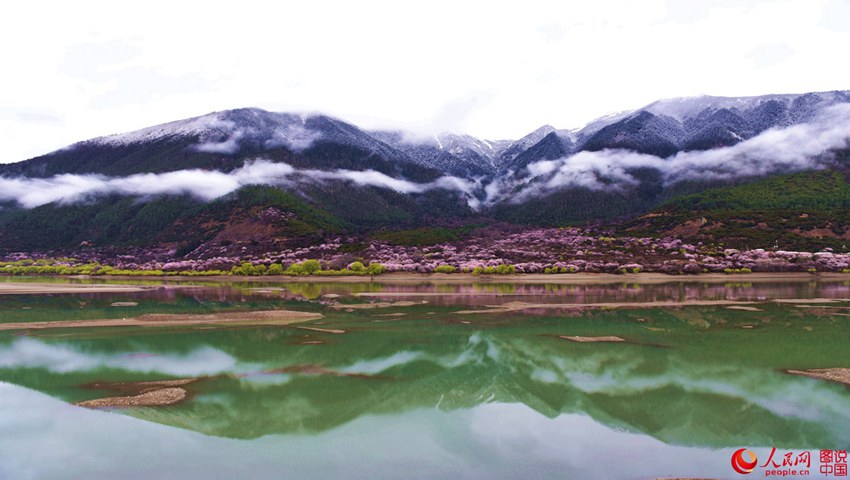 ?? ??? ??? ?, ????? ??? ??