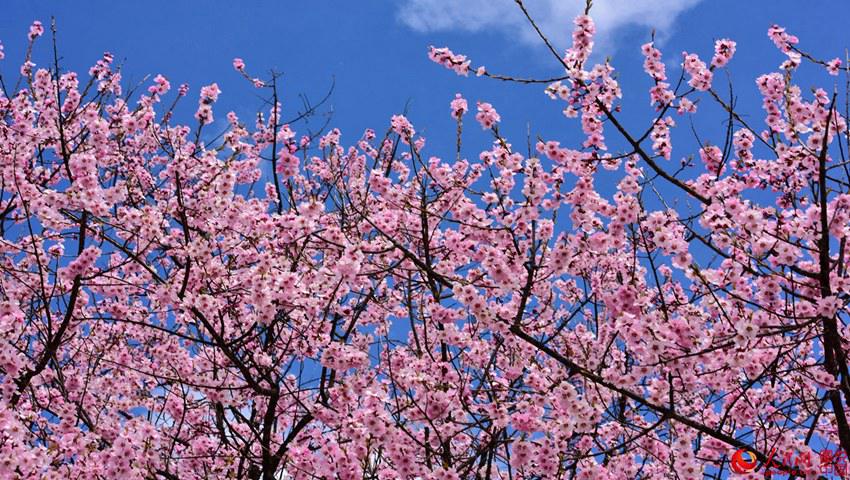 ?? ??? ??? ?, ????? ??? ??