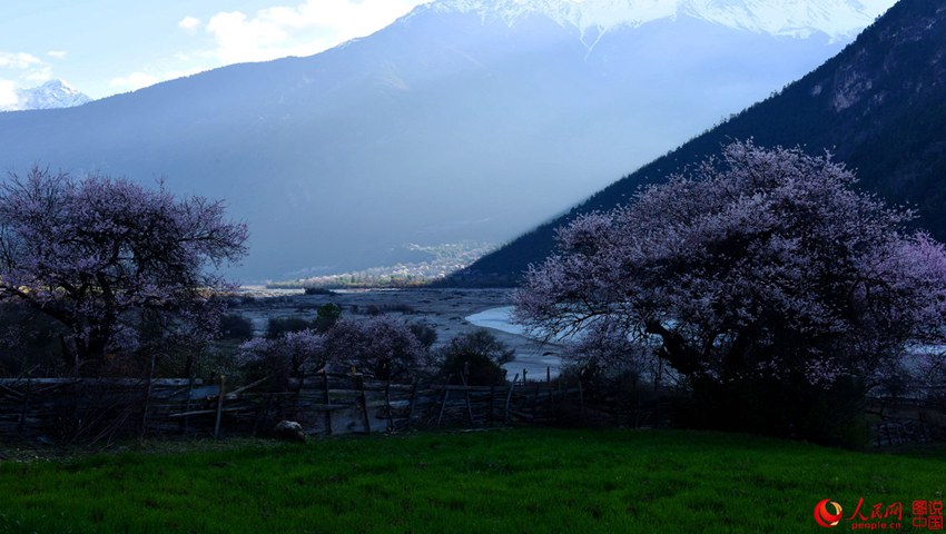 ?? ??? ??? ?, ????? ??? ??