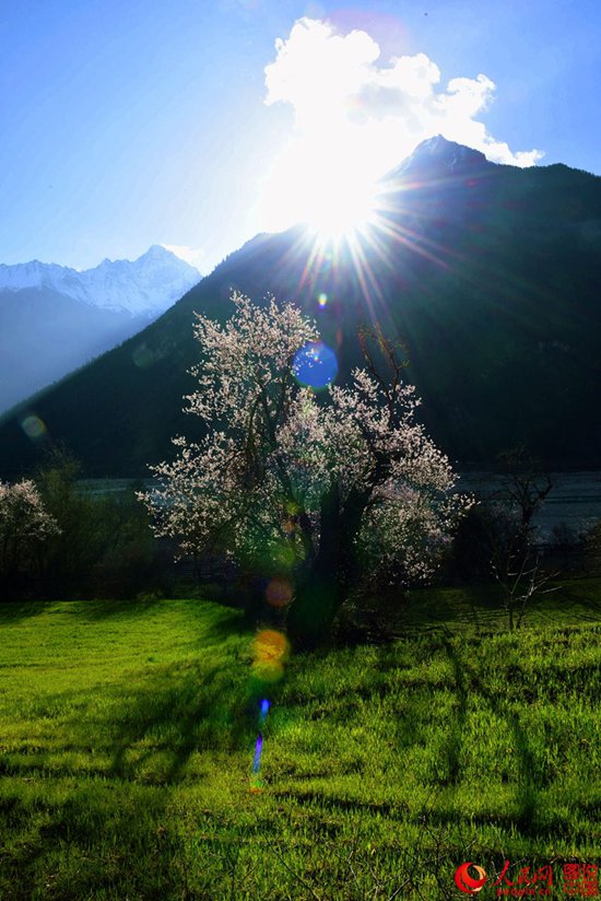 ?? ??? ??? ?, ????? ??? ??