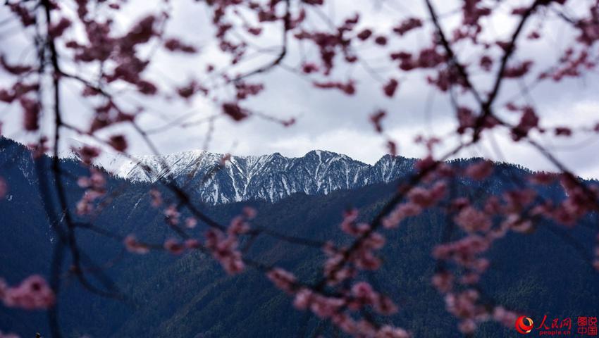 ?? ??? ??? ?, ????? ??? ??