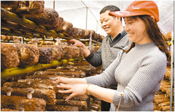 ??(江西) ???(高安)?? ? ?? ???? ‘1? 1??????’? ???? ???? ?? ??? ? ??? ???. 2? 23? ????? ? ?? ???? ?????? ??? ???? ????.  