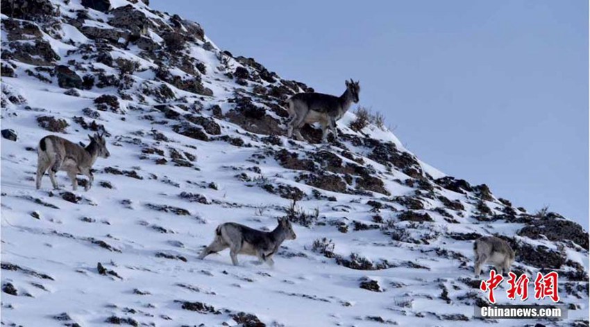 ??? ??? ?? ?? ‘??? ???’… ???? ?? ??? ?? ?? ???