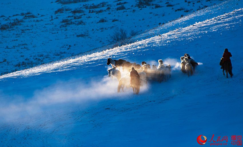 ??? ?? ??? ??? ???? ??, ??? ??? ?? ? ???