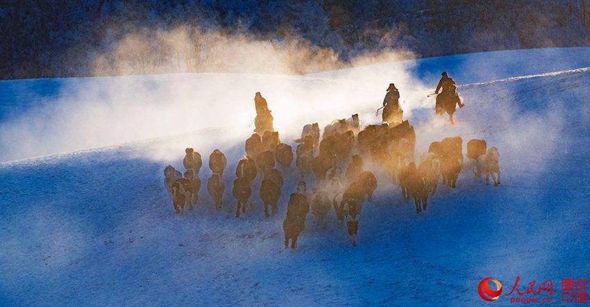 ??? ?? ??? ??? ???? ??, ??? ??? ?? ? ???