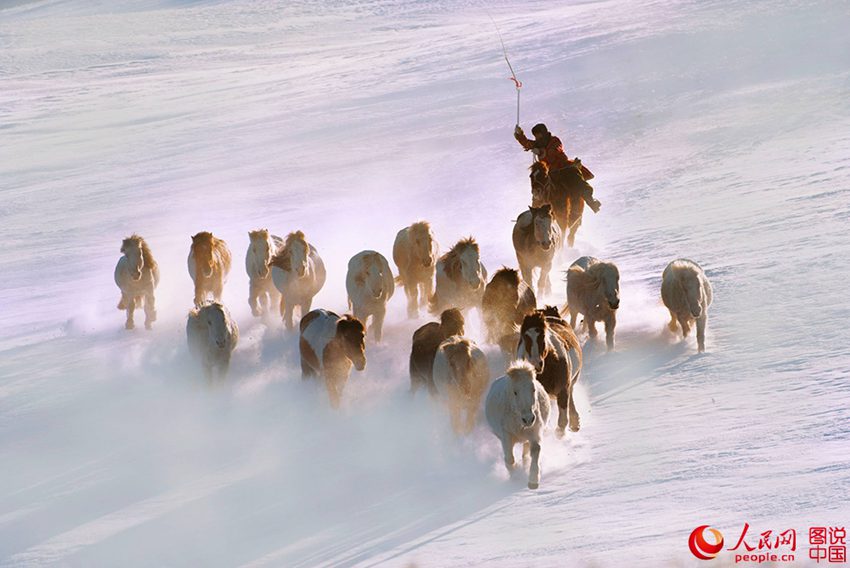 ??? ?? ??? ??? ???? ??, ??? ??? ?? ? ???