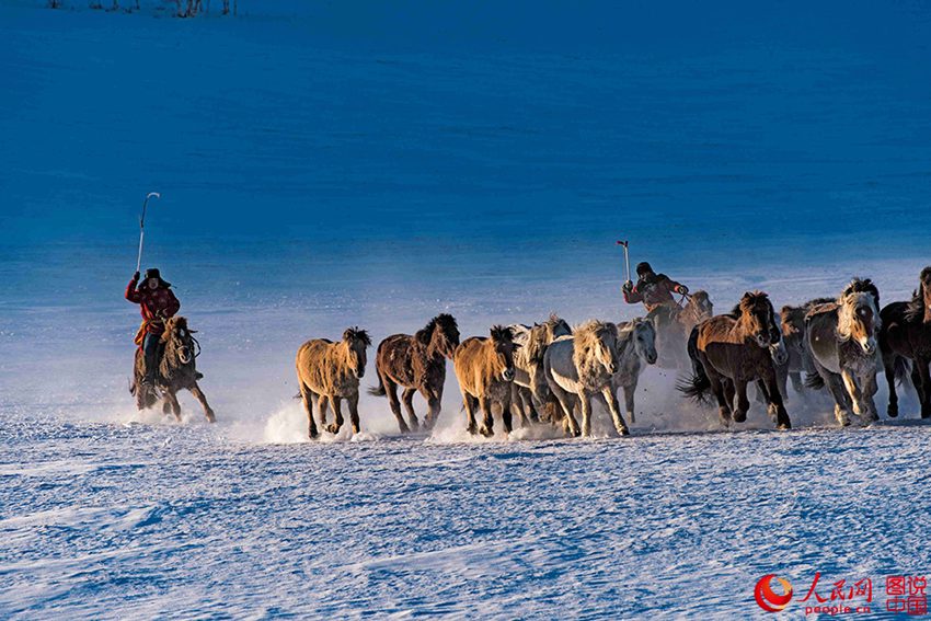 ??? ?? ??? ??? ???? ??, ??? ??? ?? ? ???