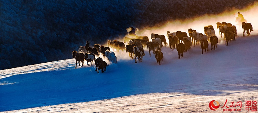 ??? ?? ??? ??? ???? ??, ??? ??? ?? ? ???