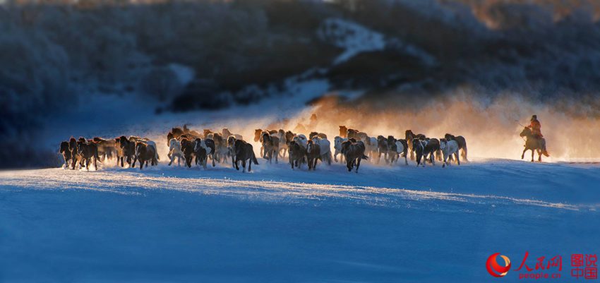 ??? ?? ??? ??? ???? ??, ??? ??? ?? ? ???