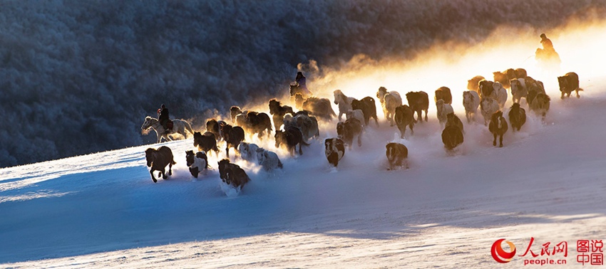 ??? ?? ??? ??? ???? ??, ??? ??? ?? ? ???