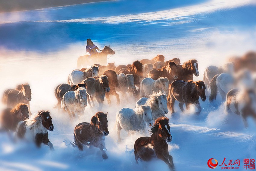 ??? ?? ??? ??? ???? ??, ??? ??? ?? ? ???