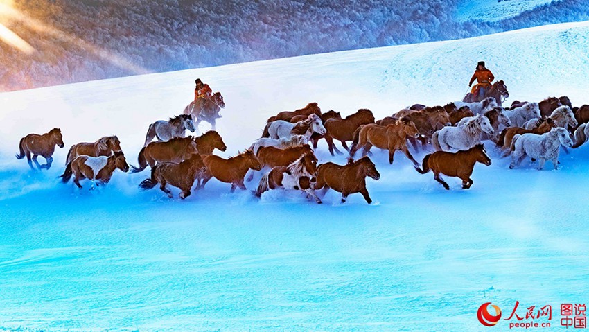 ??? ?? ??? ??? ???? ??, ??? ??? ?? ? ???