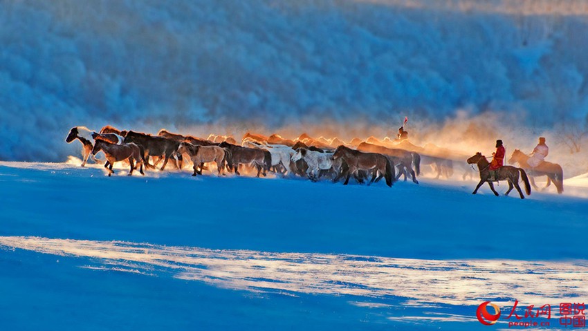 ??? ?? ??? ??? ???? ??, ??? ??? ?? ? ???