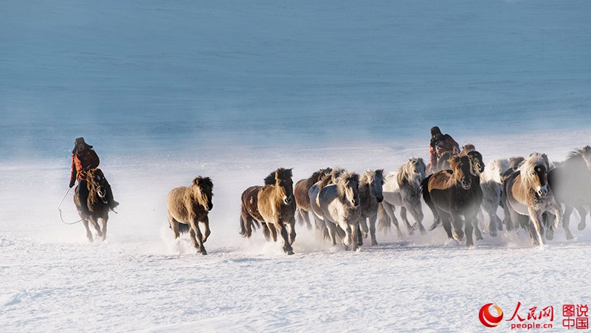 ??? ?? ??? ??? ???? ??, ??? ??? ?? ? ???