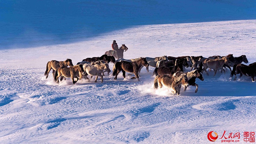 ??? ?? ??? ??? ???? ??, ??? ??? ?? ? ???