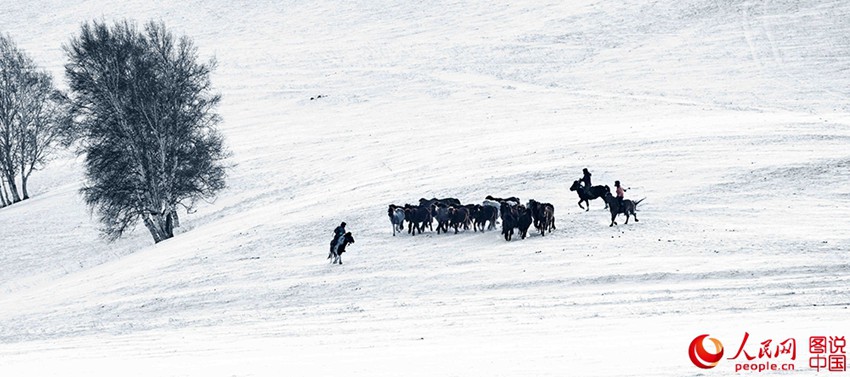 ??? ?? ??? ??? ???? ??, ??? ??? ?? ? ???