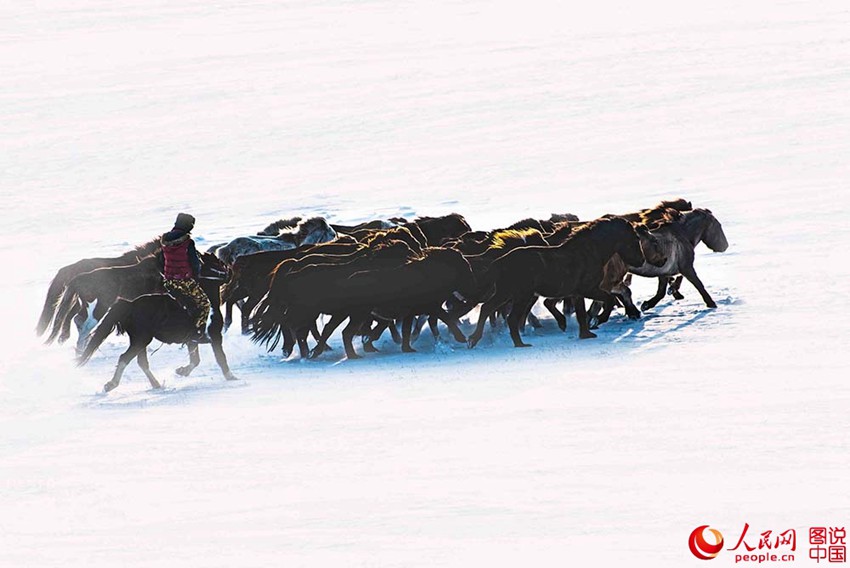 ??? ?? ??? ??? ???? ??, ??? ??? ?? ? ???