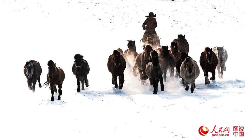 ??? ?? ??? ??? ???? ??, ??? ??? ?? ? ???