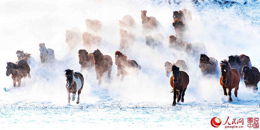 ??? ?? ??? ??? ???? ??, ??? ??? ?? ? ???