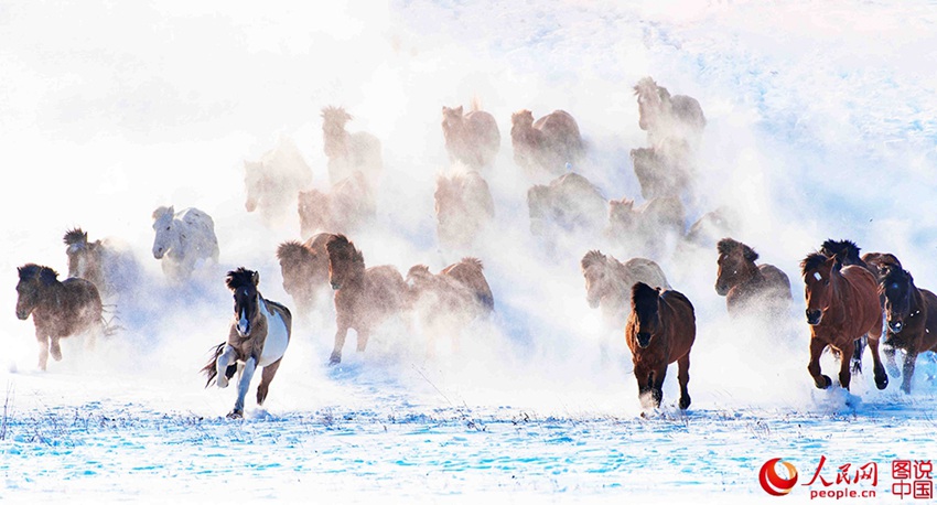 ??? ?? ??? ??? ???? ??, ??? ??? ?? ? ???