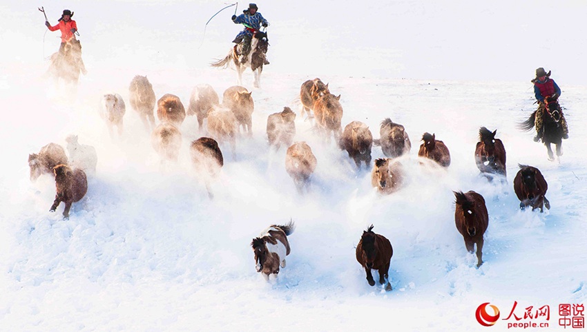 ??? ?? ??? ??? ???? ??, ??? ??? ?? ? ???