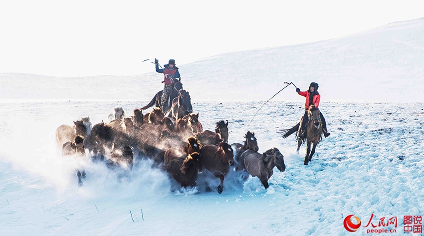 ??? ?? ??? ??? ???? ??, ??? ??? ?? ? ???