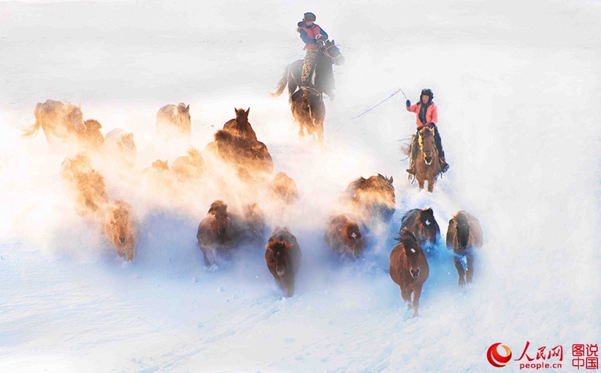 ??? ?? ??? ??? ???? ??, ??? ??? ?? ? ???