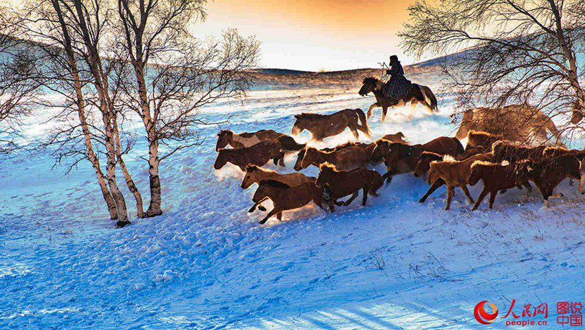 ??? ?? ??? ??? ???? ??, ??? ??? ?? ? ???