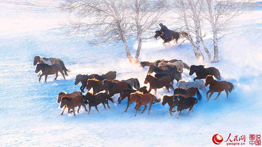 ??? ?? ??? ??? ???? ??, ??? ??? ?? ? ???