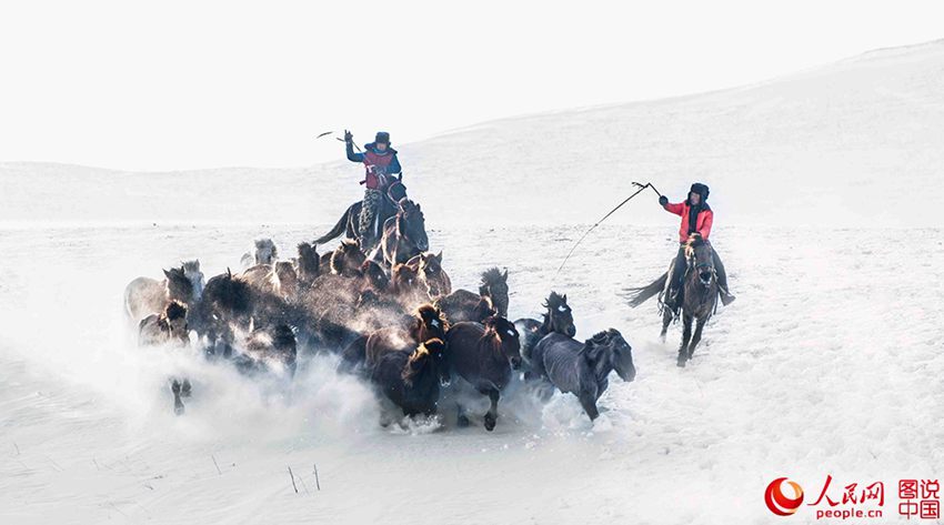 ??? ?? ??? ??? ???? ??, ??? ??? ?? ? ???