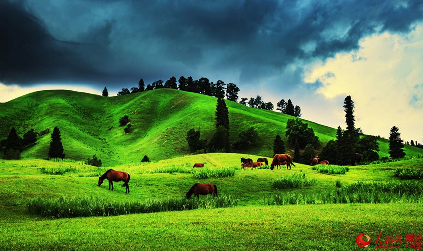 ???? ??? ??? ??, ?? ?????