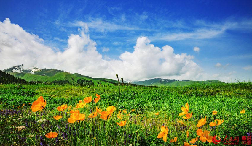 ???? ??? ??? ??, ?? ?????