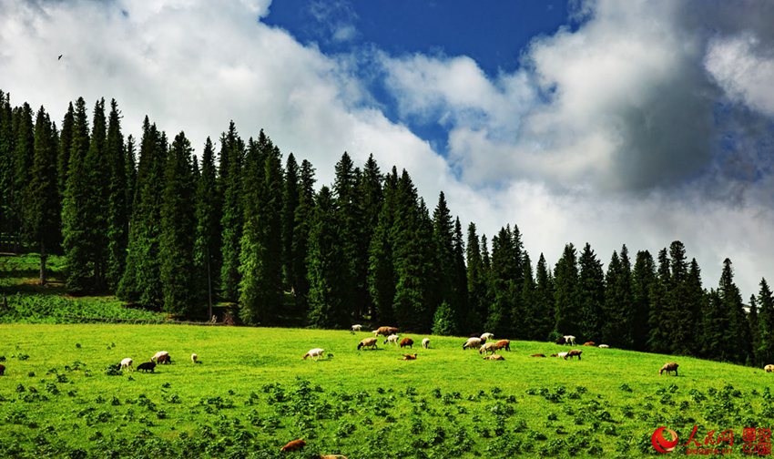 ???? ??? ??? ??, ?? ?????