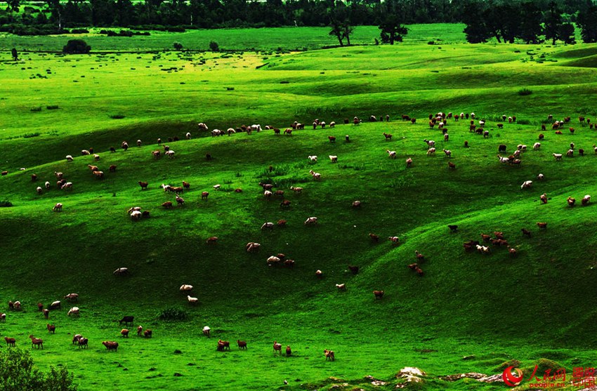 ???? ??? ??? ??, ?? ?????