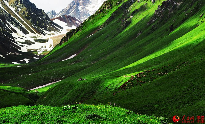 ???? ??? ??? ??, ?? ?????