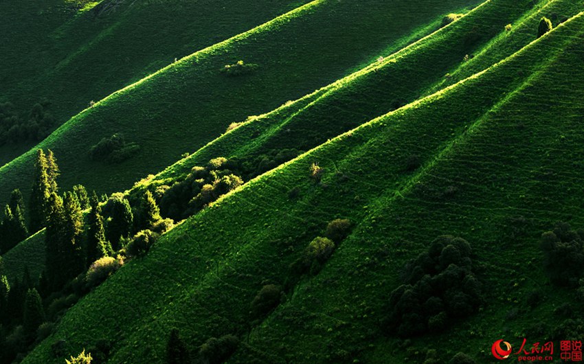 ???? ??? ??? ??, ?? ?????