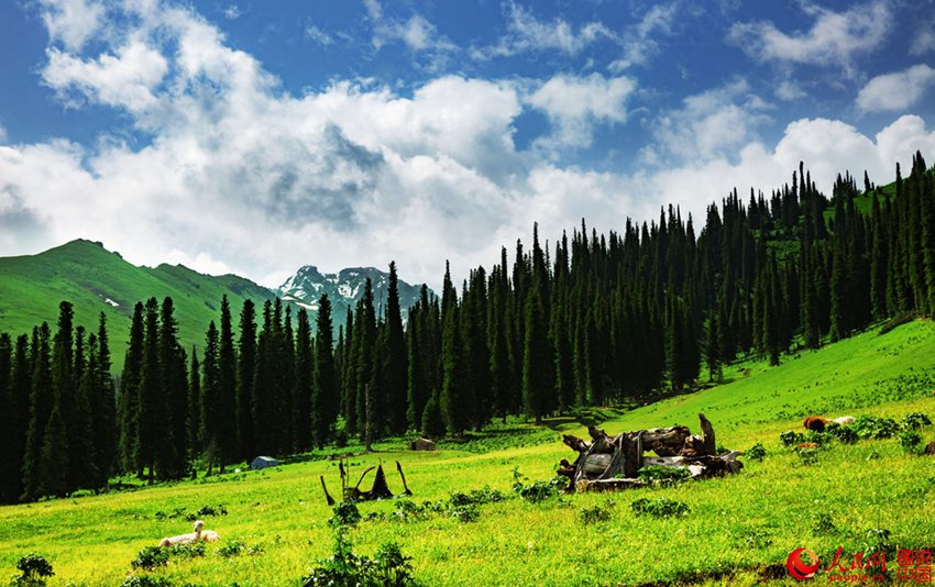 ???? ??? ??? ??, ?? ?????