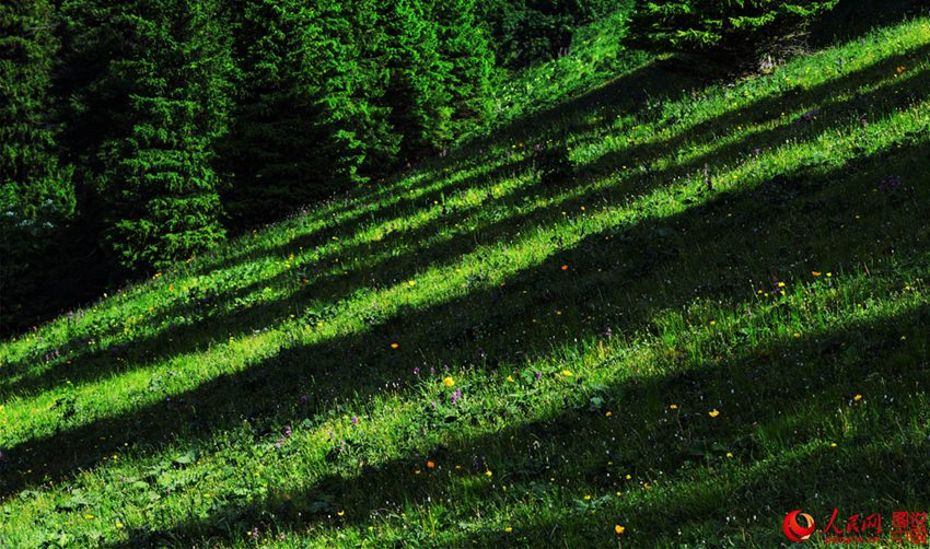 ???? ??? ??? ??, ?? ?????