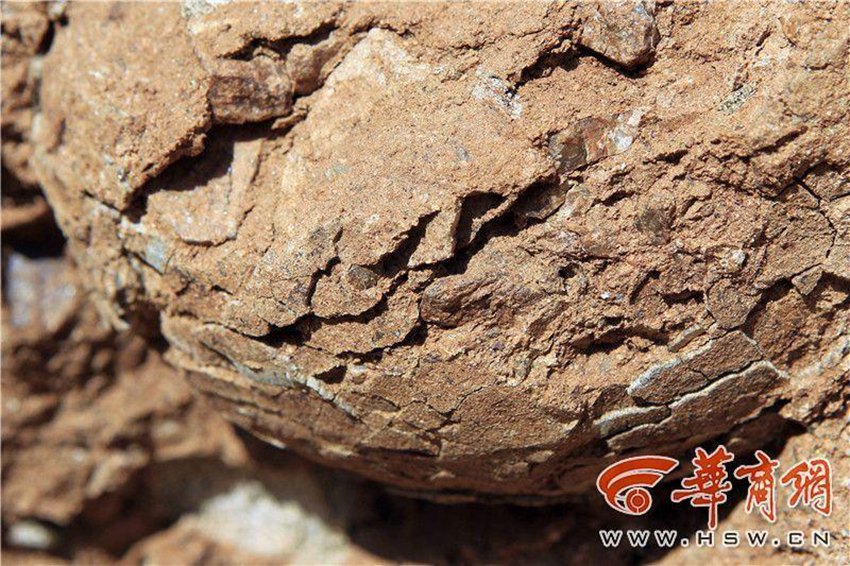 ?? ??? ??? ‘???’… ?? ?? ‘??? ??’!