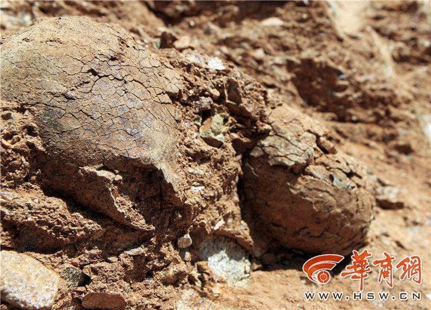 ?? ??? ??? ‘???’… ?? ?? ‘??? ??’!