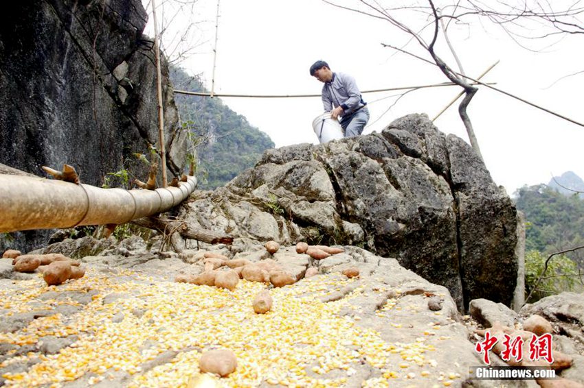 100? ??? ?? ???, ?? ??? ????? ??