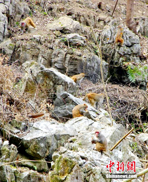 100? ??? ?? ???, ?? ??? ????? ??