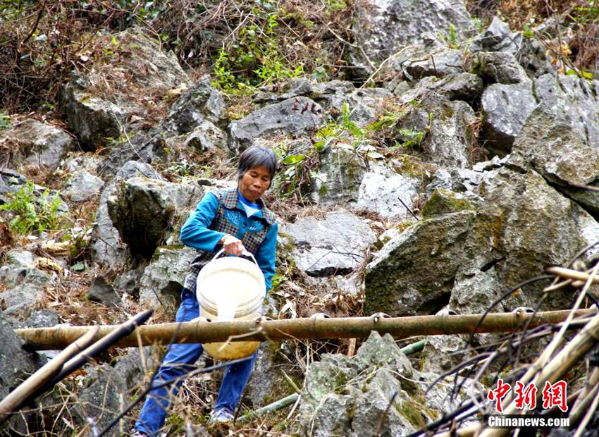 100? ??? ?? ???, ?? ??? ????? ??